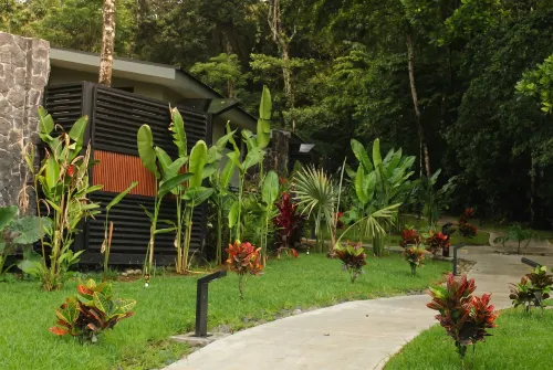 Nuakú Jungle - spa