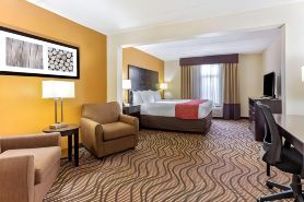 Comfort Inn & Suites Tampa North I-75