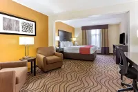Comfort Inn & Suites Tampa North I-75