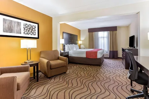 Comfort Inn & Suites Tampa North I-75