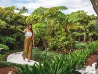 Scp Hilo Hotel Hotels near Hilo International Airport