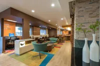 Fairfield Inn & Suites Dallas Lewisville - Park Yeri