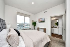 Houston Luxury Apartment Features a rooftop pool city views and king-size beds