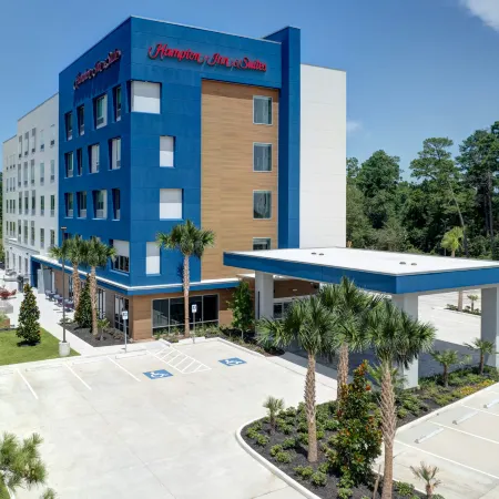 Hampton Inn & Suites by Hilton Shenandoah the Woodlands