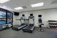 Residence Inn DFW Airport North/Grapevine - Træningscentre