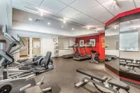 Hilton Garden Inn Gainesville - Gym