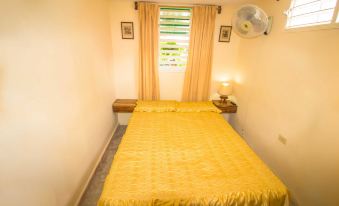 Armando's Hostel House, Room 5, Very Close to El Malecon
