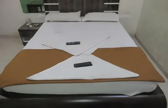 蘇里亞普拉卡什酒店