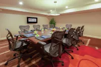 Hilton Garden Inn Pittsburgh University Place - Business