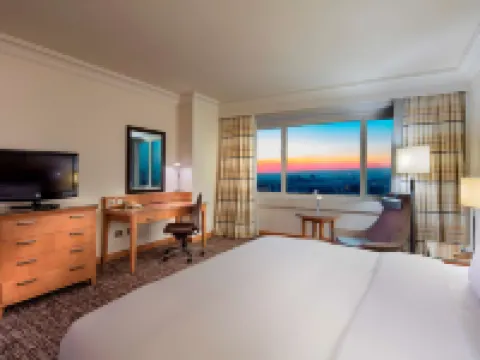 アダナ ヒルトン ホテル アダナのホテル