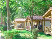 Le Mediterranée - Homestays