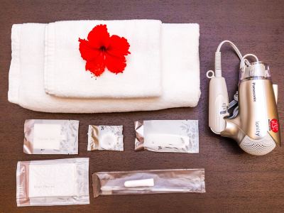 [ヴィラ-2] 高いプライバシー アジア風レンタルヴィラ グレースヴィラ宮古島（Grace Villa Miyakojima）の写真