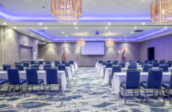 温泉城希爾頓逸林酒店