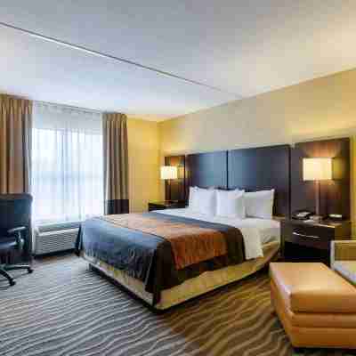 Comfort Inn & Suites Lexington Park Rooms