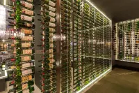 Hyatt Regency Merida - bar