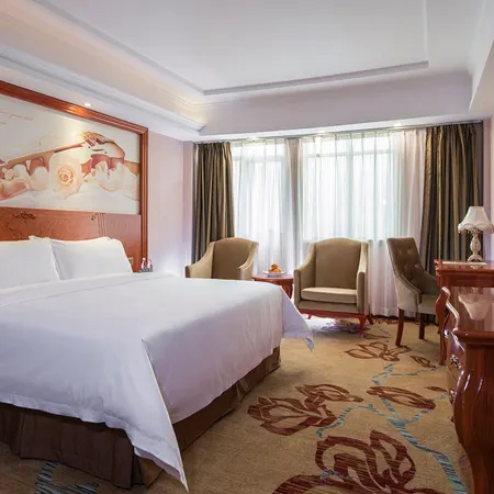 Vienna Hotel (Heyuan Longchuan)