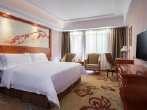 Vienna Hotel (Heyuan Longchuan)