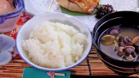 Togatta Onsen Ryokan-Genbee Hoteles en Zaō