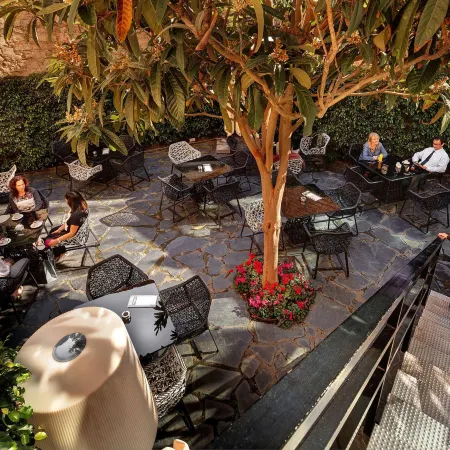 Olivia Plaza Hotel