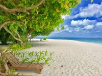 Ithaa Inn Super deluxe room Hotels in Kamadhoo