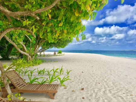 Ithaa Inn Super deluxe room Отели в г. Thiladhoo