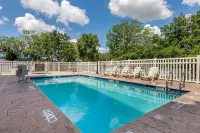 Comfort Suites Ocala North Hotels in Marion County