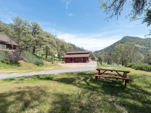 Homestead Cottages