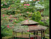 Banante Resort Hotel in zona Buxa tiger reserve sanctuary museum