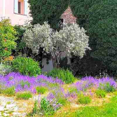 Logis Hôtel la Bastide des Monges Hotel Exterior