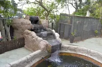 Laletsa Lodge Bed & Breakfast Hotel di Berea