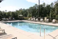 Hampton Inn & Suites by Hilton Mobile Airport University Area - Pools