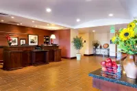 Hampton Inn & Suites Lodi Hotels in Lodi