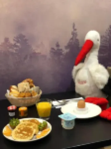 斯特拉斯堡中心小法蘭西美居酒店