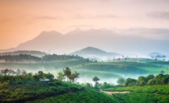 Grassroots Wayanad, Valley-View Tents