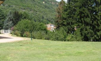 a large grassy field with trees and a house in the background , surrounded by mountains at Hotel Alpino