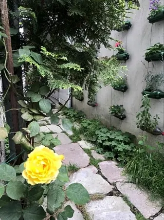 普普波哥米爾酒店