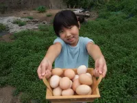 Farmer's Pension Little Pine