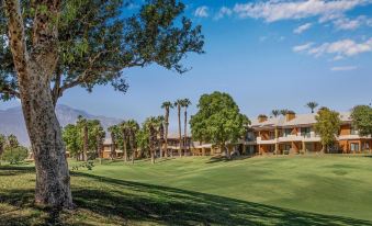 Marriott's Desert Springs Villas I