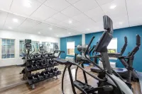 Holiday Inn Express & Suites WILLIAMSBURG by IHG - Gym