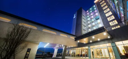 Hotel Whistlelark Jeju