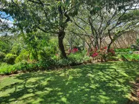 Affordable Couple's Retreat! Hotels near Worlds View