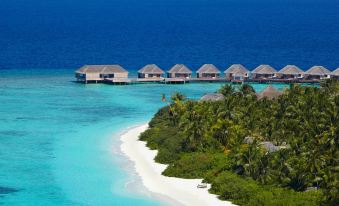 a beautiful beach with white sand and clear blue water , surrounded by lush green trees and palm trees at Dusit Thani Maldives - 50% discount on Transfers for stay until 20 Dec 2025