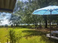 Andaman Peace Resort Hotels in 