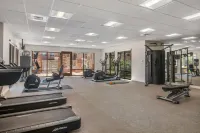 SpringHill Suites Phoenix Glendale Sports & Entertainment District - Gym