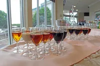 Hilton Garden Inn Temple Medical Center Hotels in Temple