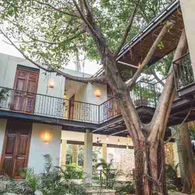 TreeHouse Boutique Hotel Hotel Exterior