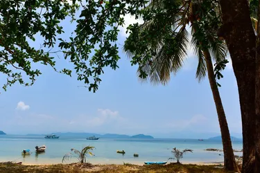 รูปภาพของฟรอก การ์เด้น ฮัท