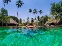 Marari Beach Resort Alleppey- a CGH Earth Experience - Pools