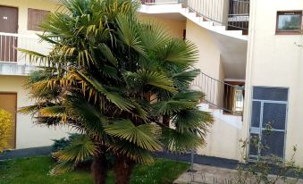 Charming Appartment in the Heart of la Palmyre