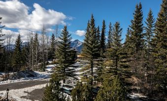 Dream 4-Br 4-Ba Chalet | Private Hot Tub | 2 Min to Jasper National Park Gates